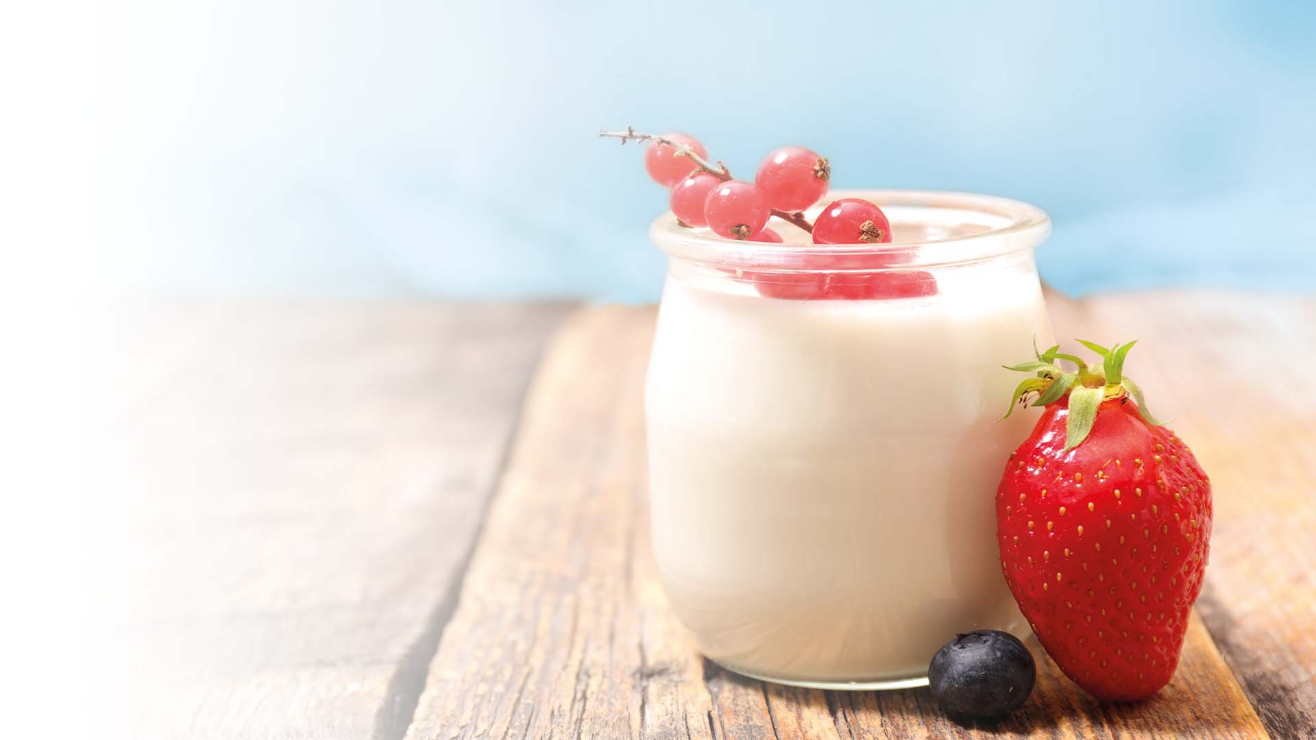 Joghurt täglich geniessen YOGUT Starterkulturen