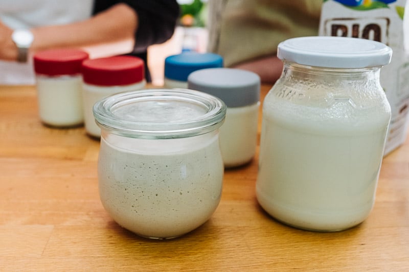 selbst gemachter Joghurt aus YOGUT Starterkulturen