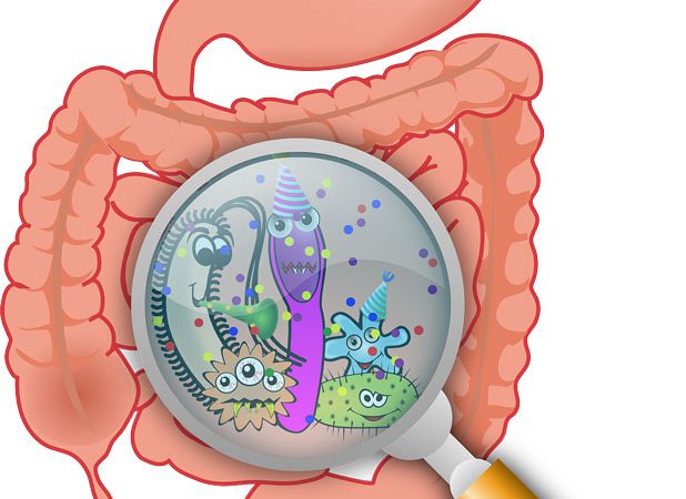 Darm-Mikrobiom-gesunde-Ernaehrung