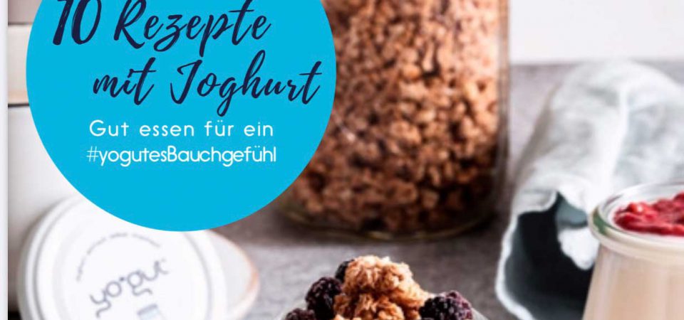 E-Book YOGUT Rezepte mit Joghurt