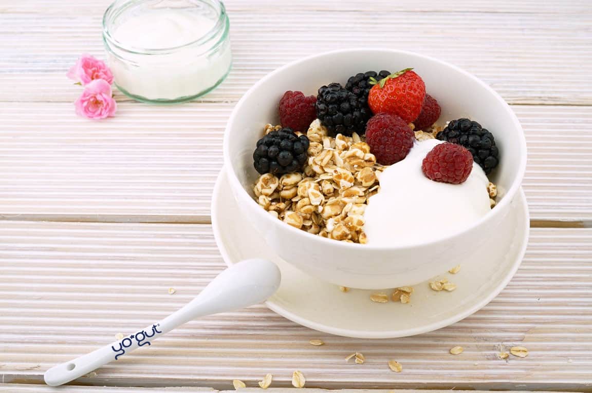 veganer Joghurt aus Hafermilch YOGUT Starterkulturen