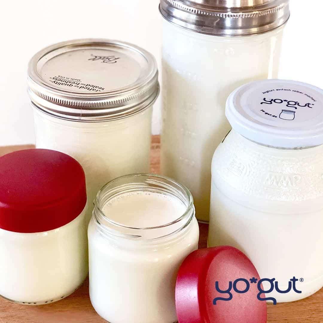 7 Fakten über Joghurt