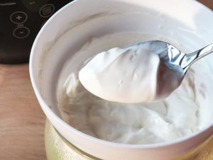 Joghurtbereiter Rommelsbacher YOGUT Starterkulturen griechischer Joghurt selber machen