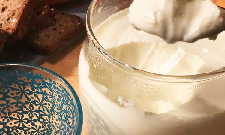 Joghurt taeglich essen YOGUT Starterkulturen