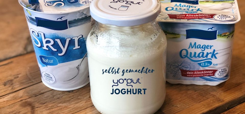 Joghurt YOGUT selbst gemacht Quark Skyr Vergleich Vorteile