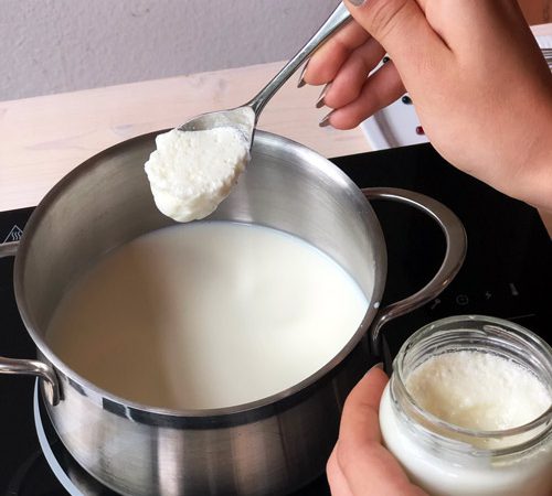 Joghurt überimpfen YOGUT Starterkulturen