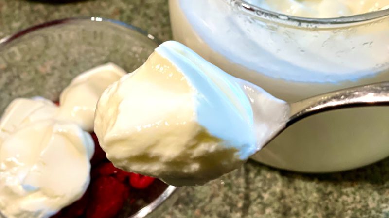 griechischer Joghurt selbst gemacht YOGUT Starterkulturen
